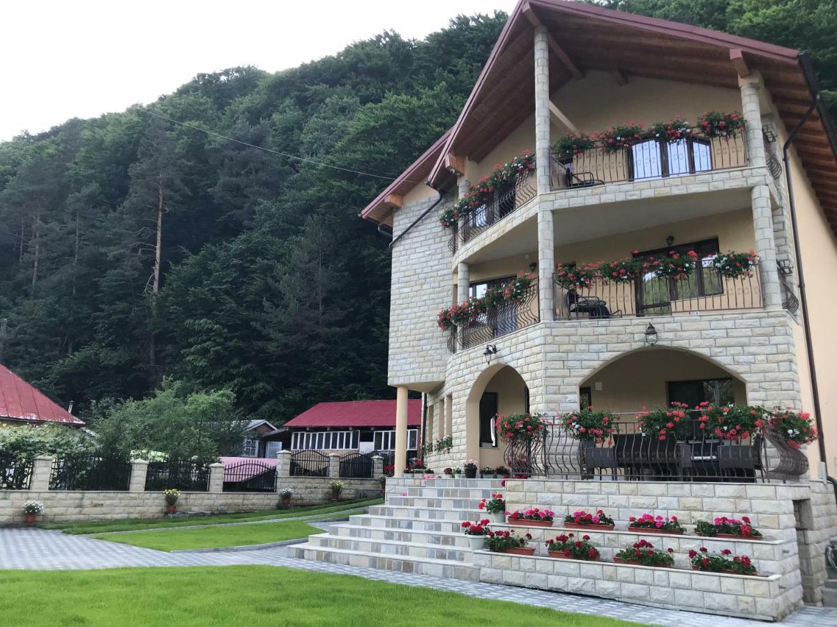 Отель Casa Andra Слэник-Молдова Экстерьер фото